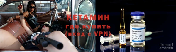 сатива Сясьстрой