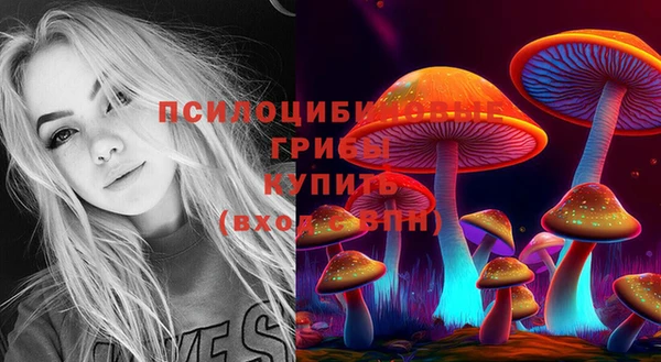 сатива Сясьстрой