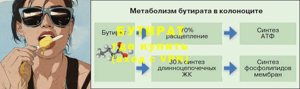 сатива Сясьстрой
