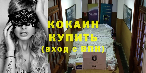 сатива Сясьстрой
