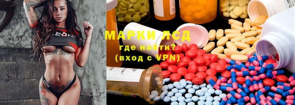 сатива Сясьстрой