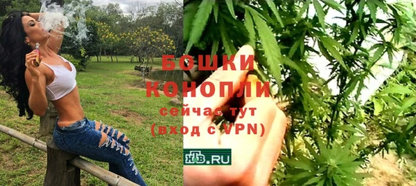 сатива Сясьстрой