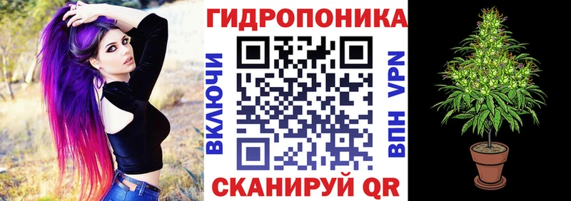 МАРИХУАНА White Widow  Купить закладки  Новоржев 